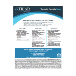 triad programs flyer image